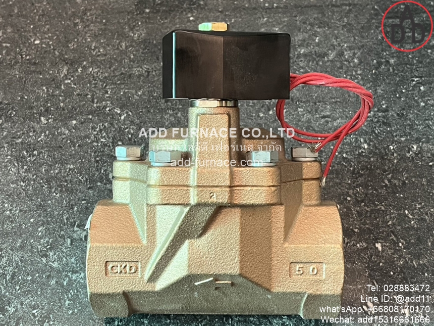CKD AP21-50A-C4A-AC220V (10) 